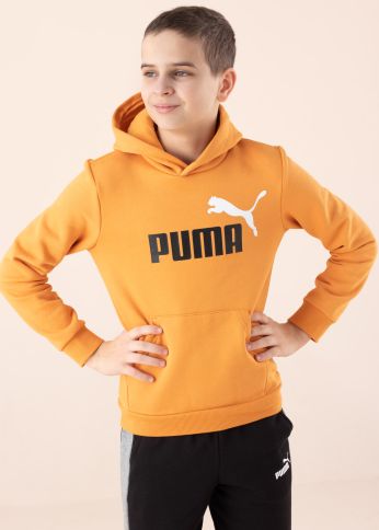Кофта Ess Big логотип Puma